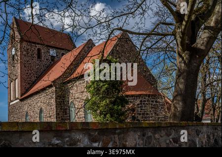 Église historique en pierre de champ à Lindenberg, Allemagne, avec tour carrée, toit rouge et fenêtres à arc pointu, encadrée par un arbre sous le ciel bleu. Banque D'Images