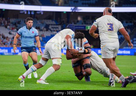 Sydney, Australie. 17 avril 2026. Miles Amatosero des Waratahs est attaqué lors du match de Super Rugby Pacific Rd 10 2026 entre les Waratahs et Moana Pasifika à l'Allianz Stadium le 17 avril 2023 à Sydney, Australie crédit : IOIO IMAGES/Alamy Live News Banque D'Images
