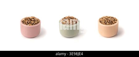 Graines de chardon Marie dans un bol isolé, grains de silybum marianum, fruits de chardon Marie bénis secs, noyaux de chardon panachés sur fond blanc, naturel Banque D'Images