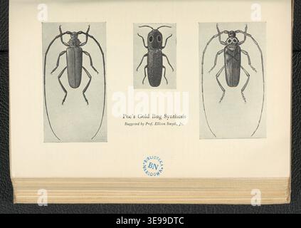 « Israfel : The Life and Times of Edgar Allan Poe » de Hervey Allen (1889-1949), publié en 1934, propose une exploration approfondie de la vie et des œuvres de l’un des écrivains les plus influents d’Amérique. L'image d'archives capture l'élégance de cette œuvre biographique, qui comprend 38 planches représentant la vie et l'époque d'Edgar Allan Poe. Banque D'Images