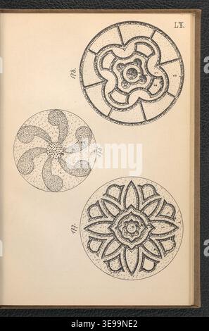 Wincenty Bielski (actif en 1908) est un auteur polonais de littérature de jardinage. Le tirage photographique historique reproduit son œuvre de 1908 'Wzory kwietników ogrodowych', conçue comme un manuel pour les jardiniers et les amateurs. Banque D'Images