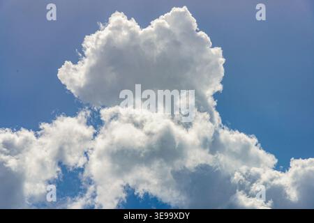 Cumulus nuages blancs bofies imposants dans un fond de ciel bleu clair. Banque D'Images