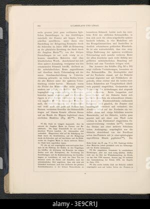 Johannes Heise (1850-1899) est un historien et éditeur renommé qui se concentre sur la documentation des monuments architecturaux et culturels de la Prusse occidentale. Cette édition de 1895 de son œuvre fournit des illustrations détaillées et des descriptions de bâtiments dans les régions de Kulmerland et LÃ¶bau. Banque D'Images