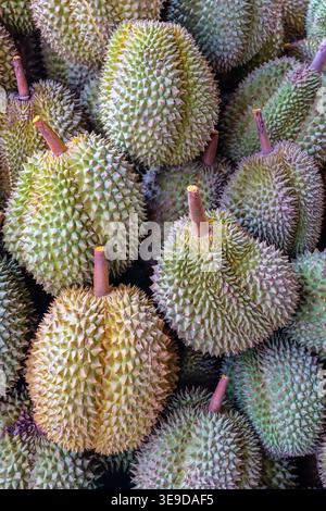 Un monticule de durians piquants sur le marché Banque D'Images