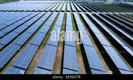 Des rangées de panneaux solaires photovoltaïques génèrent de l'électricité renouvelable dans un vaste champ de centrale électrique à l'échelle utilitaire sous la lumière du jour. Banque D'Images
