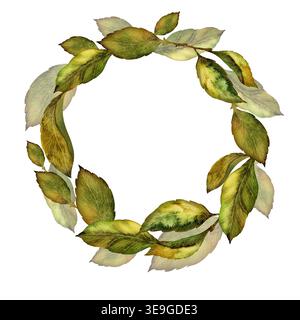 Couronne de feuilles vertes. Illustration d'aquarelle dessinée à la main isolée sur fond blanc Banque D'Images