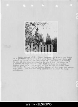 Photographie avec texte de caches de glands de MRS Henry Towatt, Californie. Ceci est tiré d'un rapport d'enquête de Fresno et... Banque D'Images