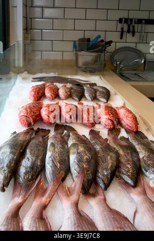 Assortiment de poissons frais, dont le mérou rouge et le bar, exposé sur glace. Fruits de mer crus de haute qualité prêts pour une cuisine professionnelle Banque D'Images