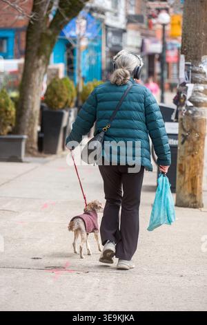 Toronto, Canada - 17 avril 2026 : une femme âgée vêtue d'une veste bouffante sarcelle fait des exercices paisibles avec une petite canine Banque D'Images