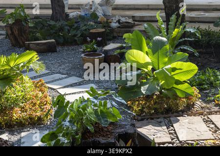 Jardin vert paisible en plein air avec végétation luxuriante poussant à côté d'un sentier en pierre de gravier entouré de feuillage naturel Banque D'Images