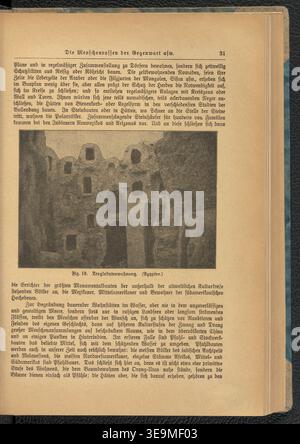 Himmel - Erde - Mensch (1914) est un ouvrage de référence complet détaillant l'histoire de la vie, de l'origine des premières cellules au développement humain, avec un accent sur les modèles anatomiques et les schémas éducatifs. Oskar Hoffmann, son créateur, a conçu l’œuvre comme un guide pédagogique du processus évolutif. Banque D'Images