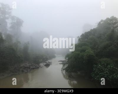 Rivière brumeuse sereine coulant à travers la forêt vierge de Maliau Basin, Sabah, Malaisie Banque D'Images