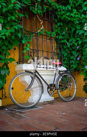 Un vélo vintage rustique avec une selle rouge repose contre un mur jaune vif orné de feuillage vert luxuriant et de délicates fleurs violettes Banque D'Images