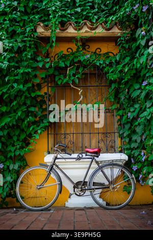 Un vélo vintage magnifiquement conservé avec une selle rouge vif s'appuie contre un mur en stuc jaune, encadré par des vignes vertes luxuriantes et un délicat écoulement violet Banque D'Images