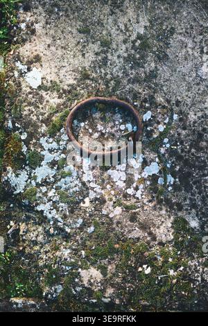 Ancre annulaire en fer fortement rouillé ou boulon à œil partiellement encastré dans une dalle de béton gris usé à l'extérieur, vue de dessus Banque D'Images