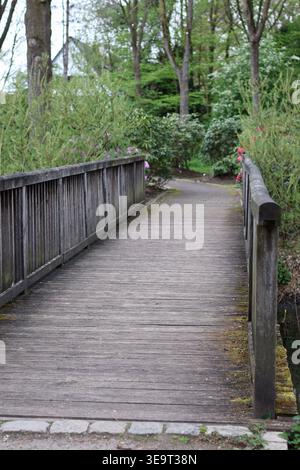 Pont en bois rustique menant à un jardin de printemps verdoyant ou parc Banque D'Images