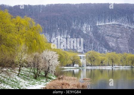 Les fleurs de prune blanches scintillent après une douce douche de printemps sur les branches minces aux feuilles vertes fraîches. L'effet flou bokeh encadre les pétales délicats Banque D'Images