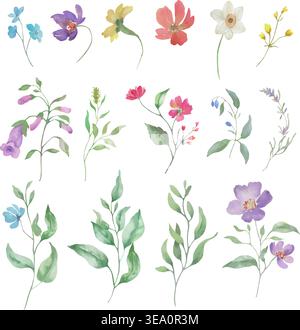 Aquarelle fleurs sauvages ensemble avec des herbes de champ colorées et des fleurs de prairie. Collection botanique d'été peinte à la main isolée sur blanc. Vecteur EPS. Illustration de Vecteur