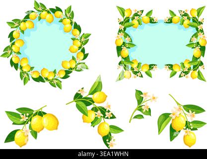 Branches de citron. Branches d'arbre à fleurs d'agrumes, fruits méditerranéens tropicaux jus de cuisson de limonade italienne d'été fleur de printemps cadre couronne bordure, illustration vectorielle soignée illustration originale Illustration de Vecteur