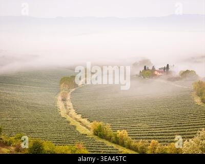 Vue aérienne de la vallée du Valdarno avec une ferme et des vignobles entourés de brume matinale Treggiaia, Toscane, Italie. Banque D'Images