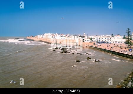 Vue panoramique sur la Médina d'Essaouira et la côte Atlantique avec des vagues s'écrasant sur les remparts, Maroc Banque D'Images