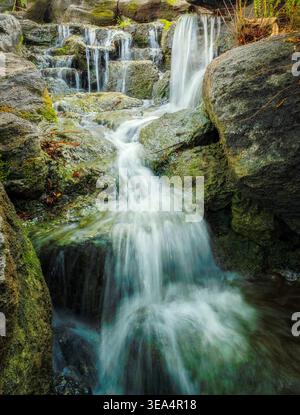 Petite cascade boisée en cascade sur des roches moussues dans un cadre forestier capturé avec une longue exposition. Banque D'Images