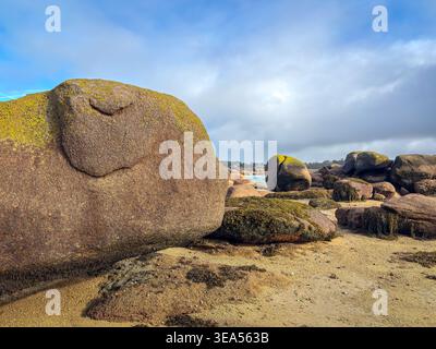 De grands rochers de granit recouverts de mousse verte dominent le rivage sablonneux de Tregastel sur la Côte de granit rose en Bretagne France sous la lumière changeante Banque D'Images