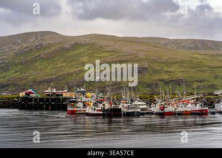 Flotte de pêche à Skarsvåg sur l'île de Magerøya près de Nordkapp, Finnmark, Norvège Banque D'Images