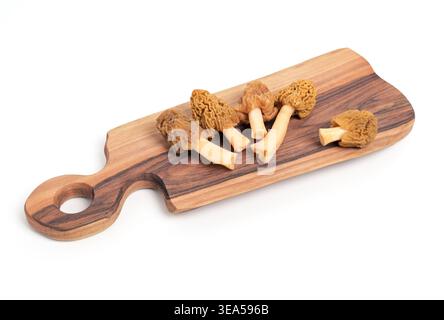Cinq champignons morilles frais (Morchella esculenta) sur planche à découper en bois isolé sur blanc Banque D'Images
