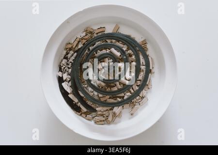 Vue de haut en bas d'un serpentin de moustiques en spirale brûlant dans un plat en céramique blanche, cendres et restes carbonisés Banque D'Images