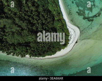 Vue aérienne de la plage de sable blanc et des palmiers luxuriants de l'île Alphonse entourée de récifs coralliens turquoise aux Seychelles. Banque D'Images