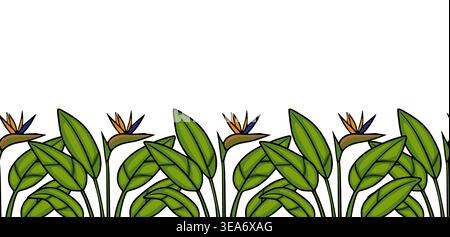 Oiseau tropical de la fleur de paradis et la bannière de vecteur de feuilles vertes luxuriantes Illustration de Vecteur