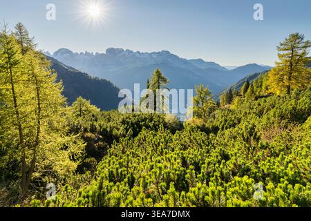 Parc naturel d'Adamello - Brenta, Trentin - Haut-Adige, Italie Banque D'Images