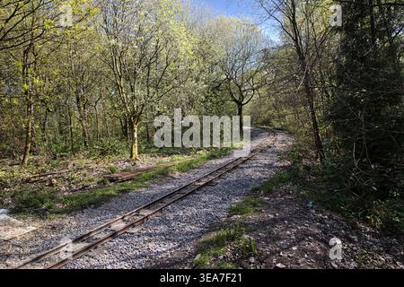 Gros plan sur les voies ferrées abandonnées rouillées dans Spring Woodland. Banque D'Images