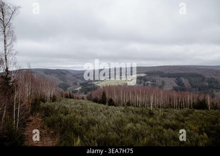 collines dans les ardennes Banque D'Images