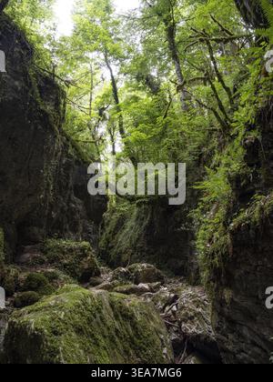 Canyon Gueulards, Vallée du Drôme, Parc naturel régional du Vercors, France, Europe Banque D'Images