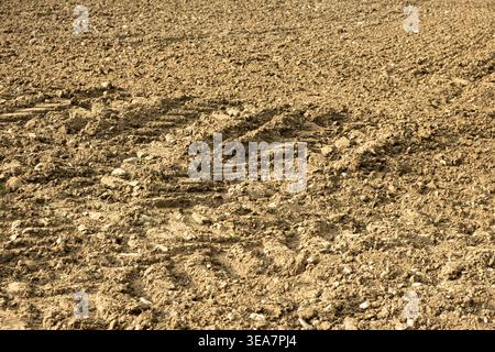 Un champ de fermiers avec beaucoup de pierres. Surface naturelle du sol avec des cailloux. Banque D'Images