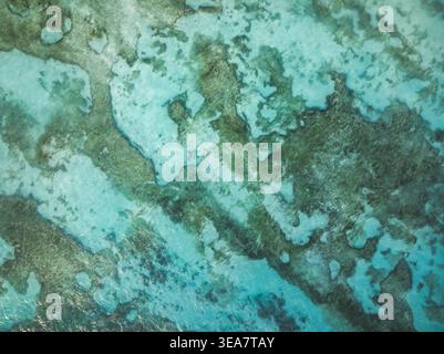 Vue aérienne du récif corallien et de l'eau turquoise cristalline à Anse source d'argent à L'Union Estate, Seychelles. Banque D'Images