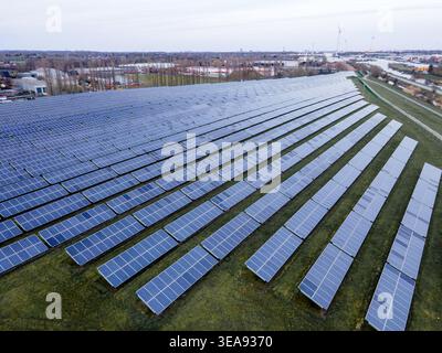 Vue panoramique aérienne de la vaste ferme solaire avec des rangées sans fin créant des lignes de guidage à l'horizon. Installation photovoltaïque à grande échelle, énergie propre conc Banque D'Images