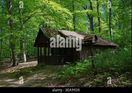 VISEGRAD, HONGRIE - 18 AVRIL 2026 : Muflon kunyho (Mouflon Hut) en bois caché dans la forêt printanière verte des montagnes de Visegrad. Repère local. Banque D'Images
