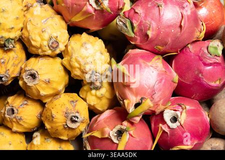 Hylocereus undatus - variété rose et jaune de fruit de dragon sur le marché Banque D'Images
