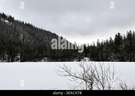 hiver et neige dans les montagnes Banque D'Images