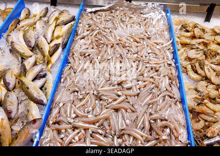 Variété de fruits de mer frais, y compris plusieurs types de poissons entiers, anchois et crevettes, exposés sur de la glace pilée Banque D'Images