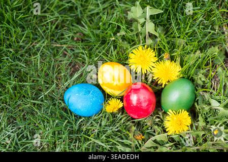 Un groupe d'œufs de Pâques vibrants en rouge, bleu, vert et jaune reposant dans l'herbe verte fraîche, entouré de pissenlits jaunes en fleurs. La scène captu Banque D'Images