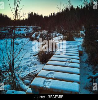 Pont aérien avec des pas dans le paysage hivernal enneigé et panorama forestier Banque D'Images