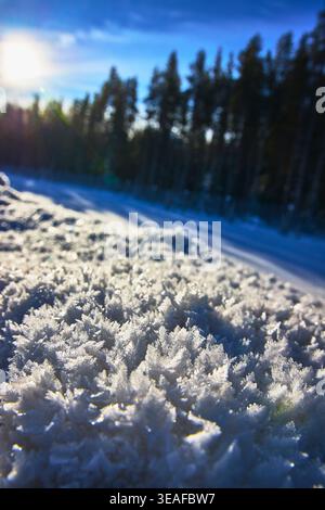 Cristaux de gel lumière du soleil et forêt enneigée dans le paysage d'hiver Banque D'Images