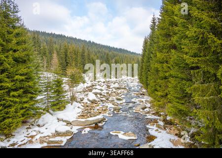 La rivière Jizera coule à travers un paysage hivernal. La neige recouvre quelques rochers et du sol. Des pins bordent la rive. Les nuages sont visibles dans le ciel. C'est une journée froide en hiver. Banque D'Images
