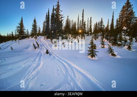 Soleil d'hiver sur la forêt enneigée et les pistes de ski en Alberta Banque D'Images