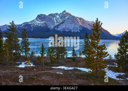Pins de lac gelés et montagnes enneigées en paysage hivernal Banque D'Images