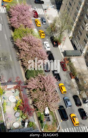 Park Avenue à Murray Hill comme vu sur une journée de printemps ensoleillée est rempli d'arbres en fleurs, 2026, New York City, États-Unis Banque D'Images